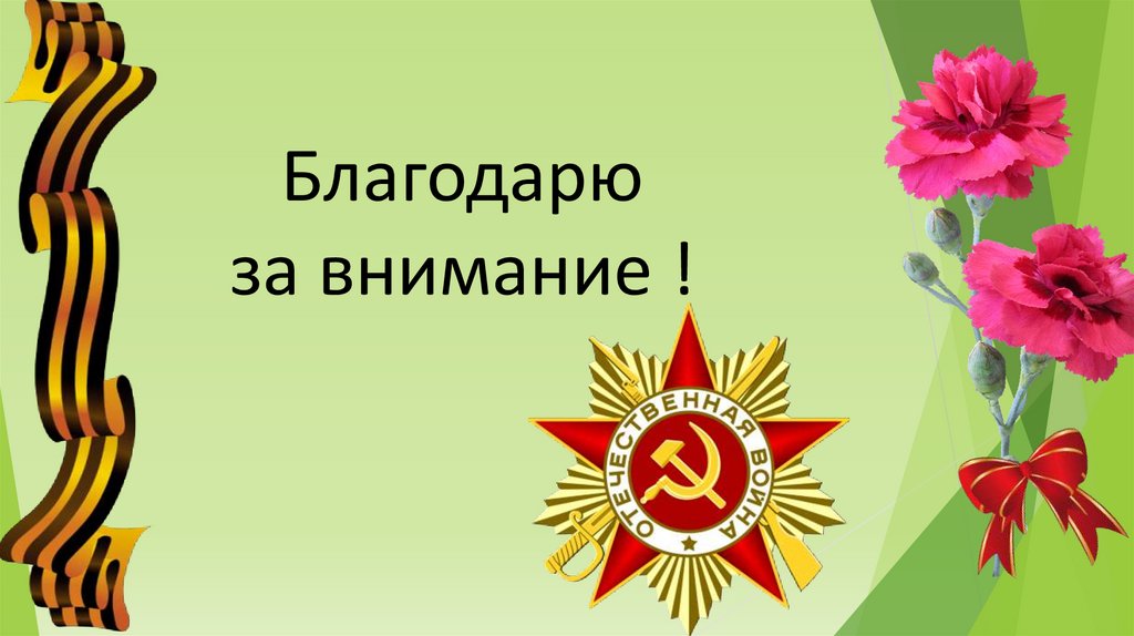 Благодарю за внимание !