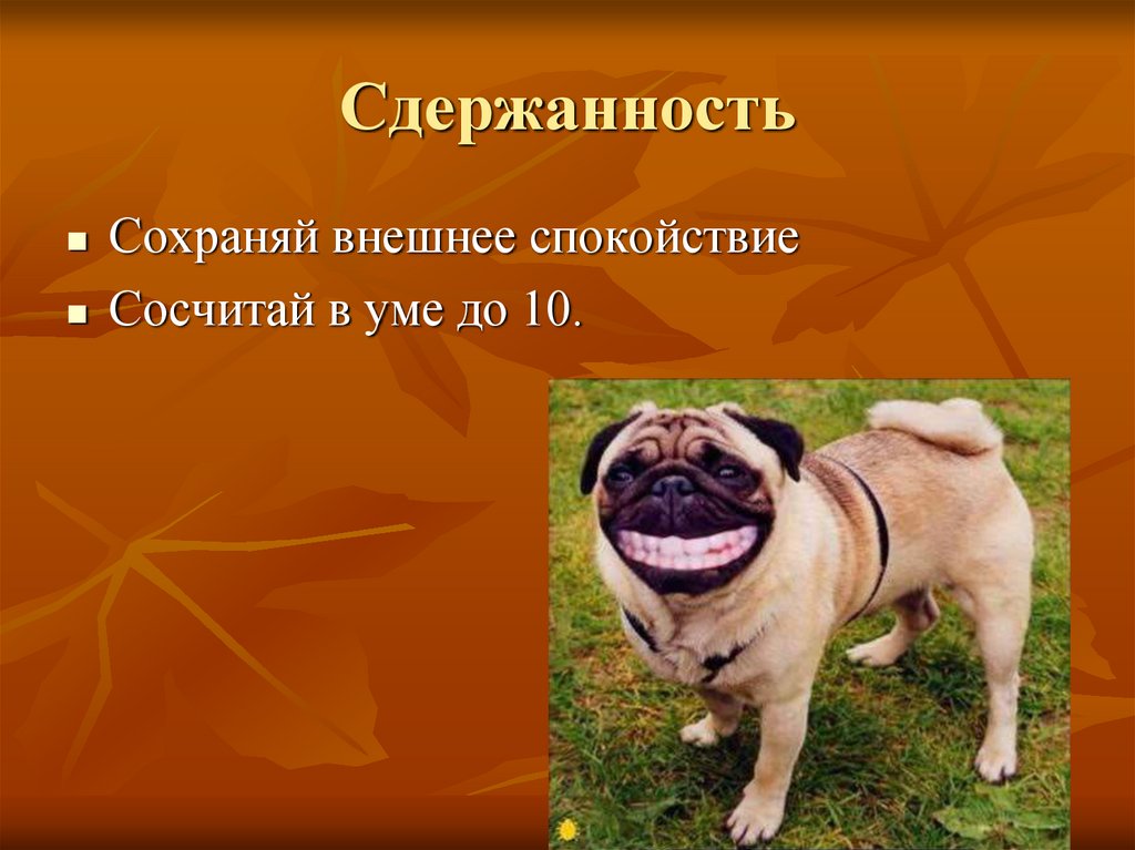 Сдержанность