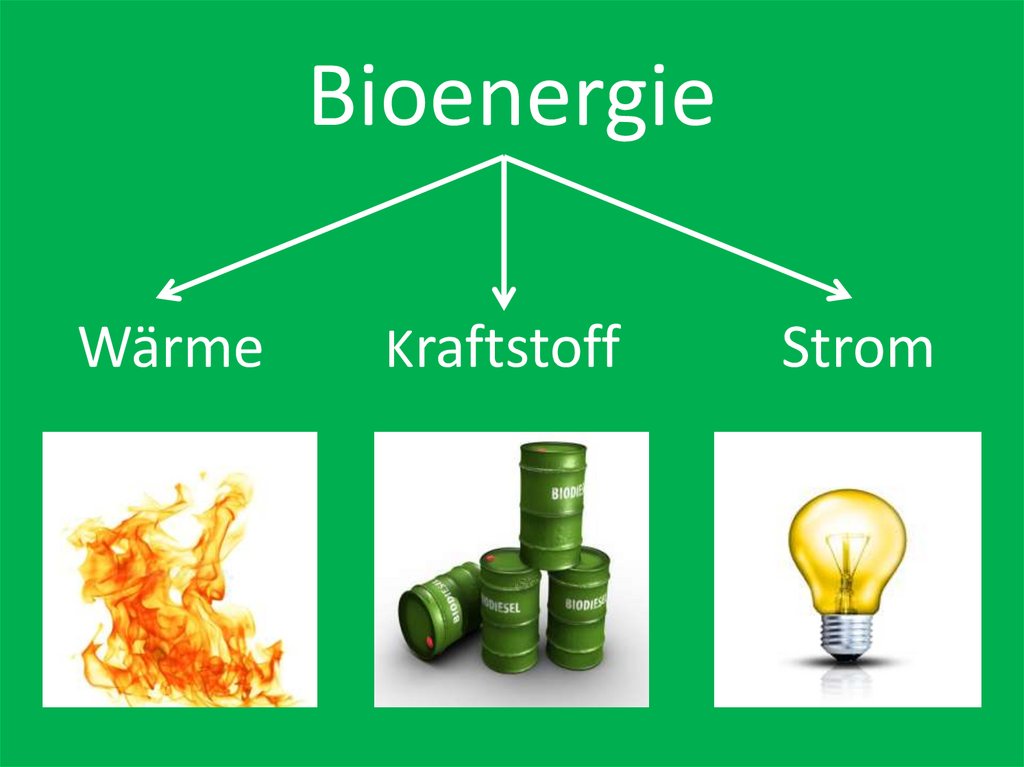 Bioenergie