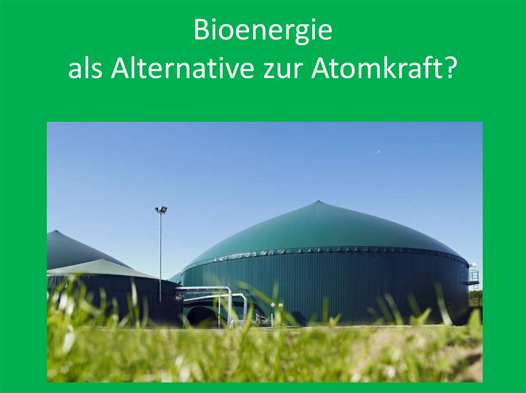 Bioenergie als Alternative zur Atomkraft?