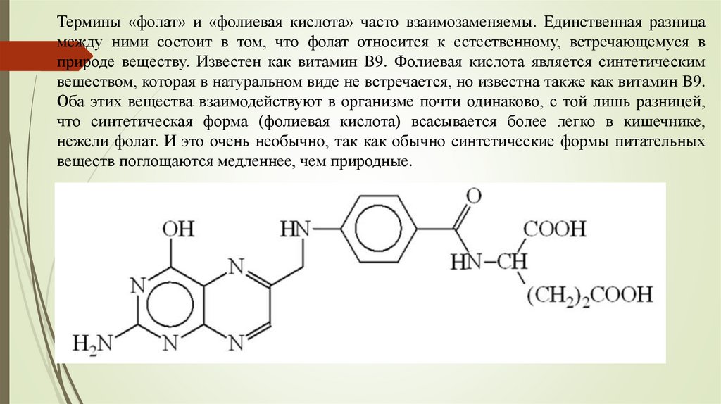 Синтез фолиевой кислоты