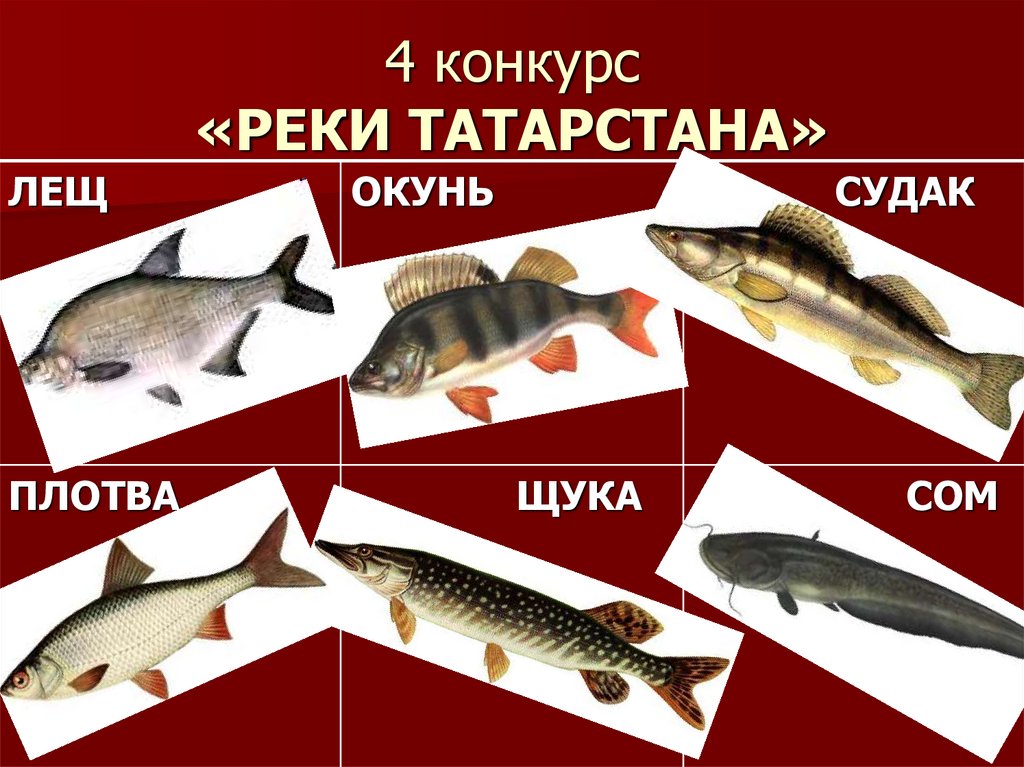 4 конкурс «РЕКИ ТАТАРСТАНА»