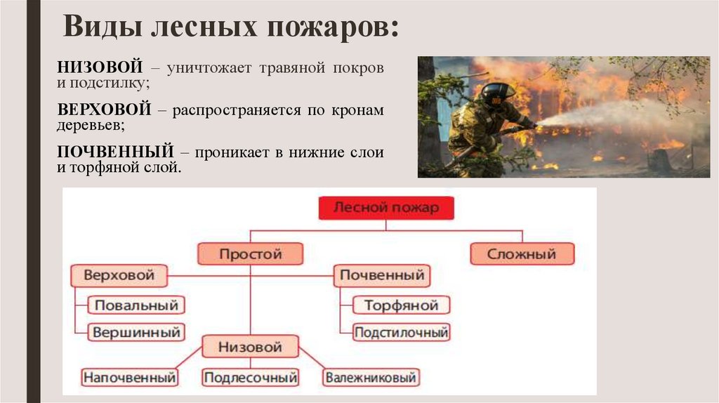 Презентация тушение лесных пожаров