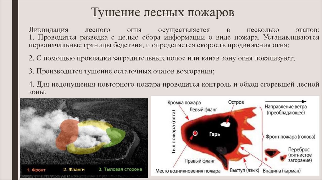 Схема тушения лесного пожара составляется при тушении какого лесного пожара