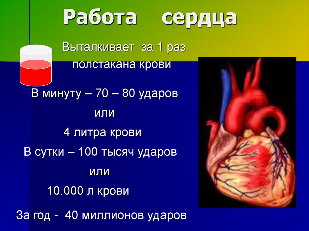 Значение тренировки сердца