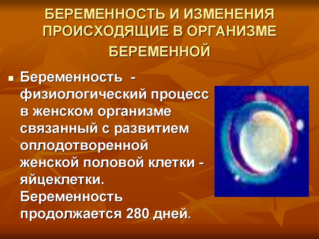 Изменения в организме при беременности. Изменения в организме беременной. Физиологические изменения в организме беременной. Физиологические изменения в организме женщины при беременности.