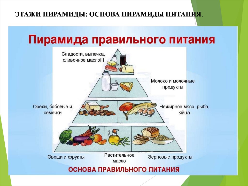 Здоровый образ жизни основа укрепления и сохранения личного здоровья индивидуальный проект