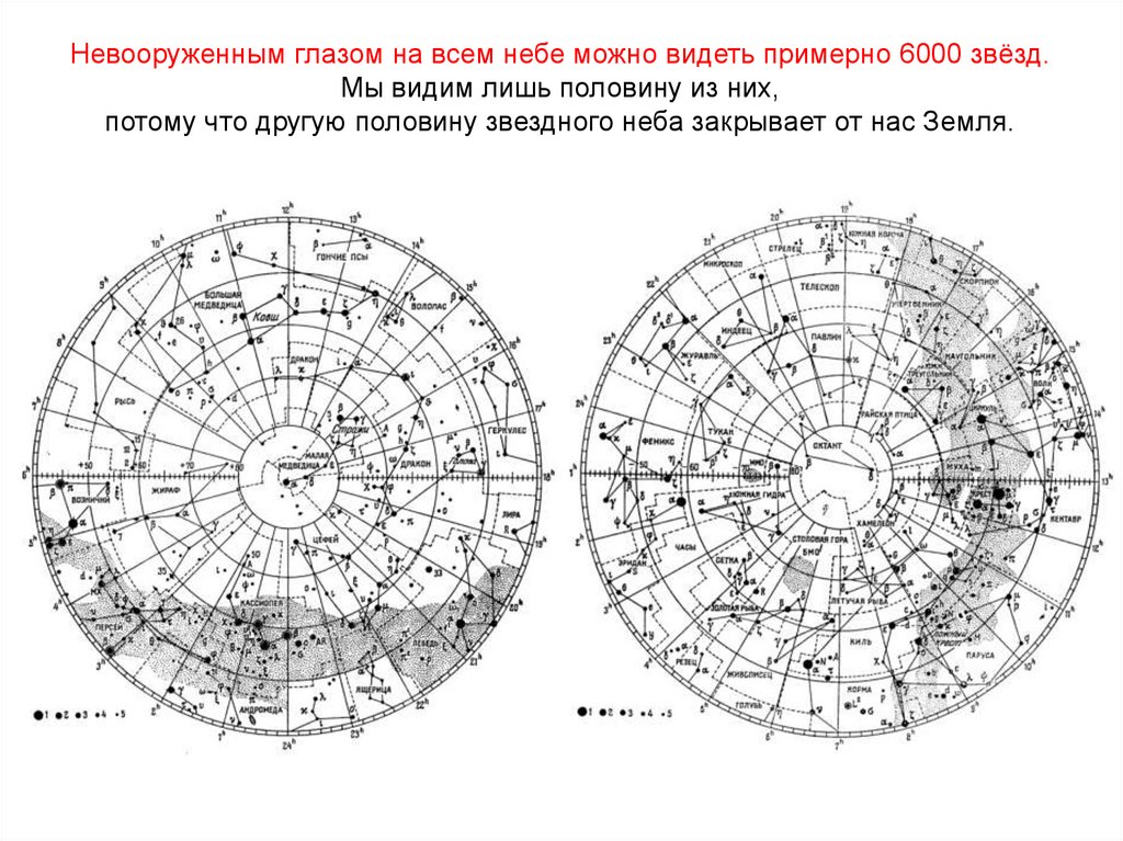 Реферат на тему карта звездного неба