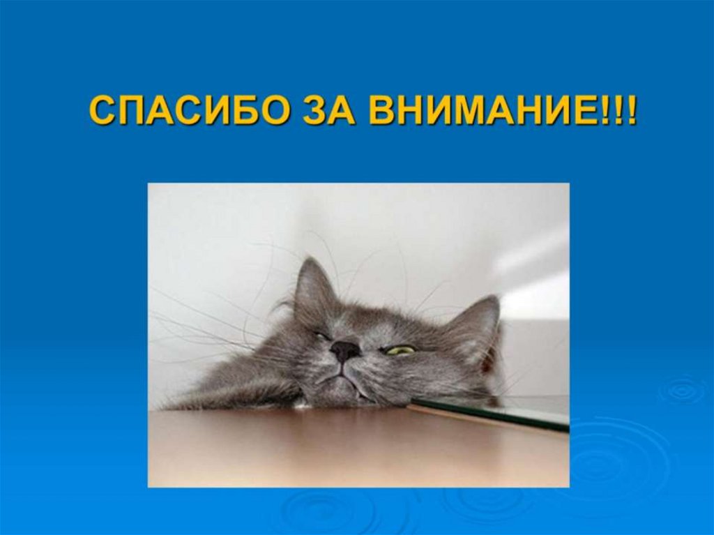 СПАСИБО ЗА ВНИМАНИЕ!!!