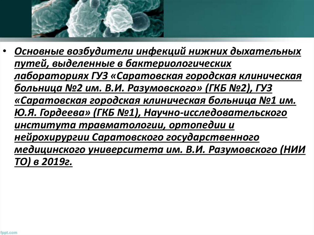 Клебсиелла пневмония в кале у взрослого. Клебсиелла Candida. Кандида дыхательных путей. Разновидности клебсиелл. Клебсиелла биохимия.