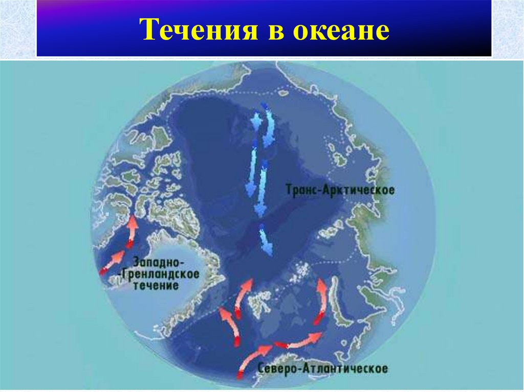 Назвать течения индийского океана. Течения в океане. Океанические течения Северного Ледовитого океана. Течения Северного Ледовитого океана на карте. Течения Северной Америки.