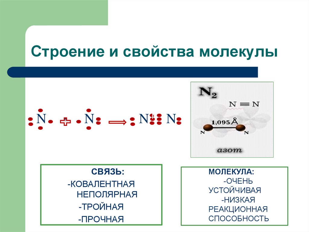 Электронная связь азота. Структура молекулы азота. Электронное строение азота 9 класс. Молекулярную структуру азота и электронную. Строение простого вещества азота.