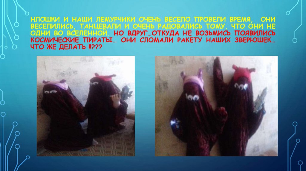 Нлошки и наши лемурчики очень весело провели время, они веселились, танцевали и очень радовались тому, что они не одни во