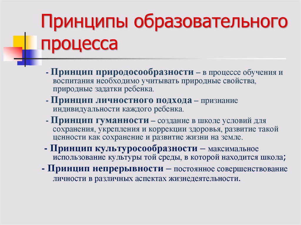 Реализация принципов в учебном процессе