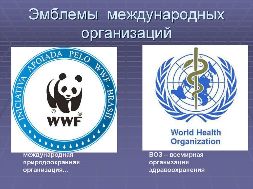 Перечислите мировые организации