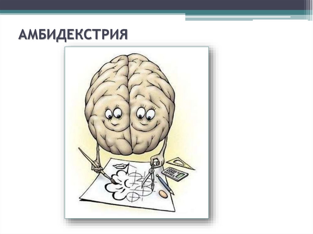 АМБИДЕКСТРИЯ