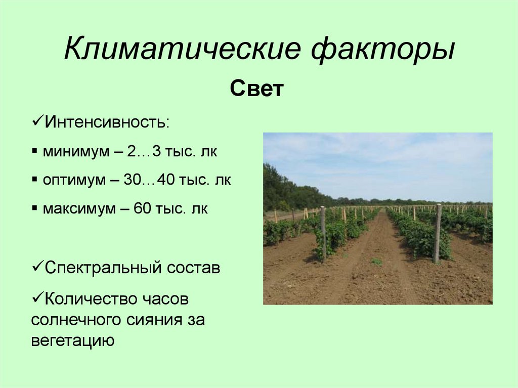 Климатические факторы