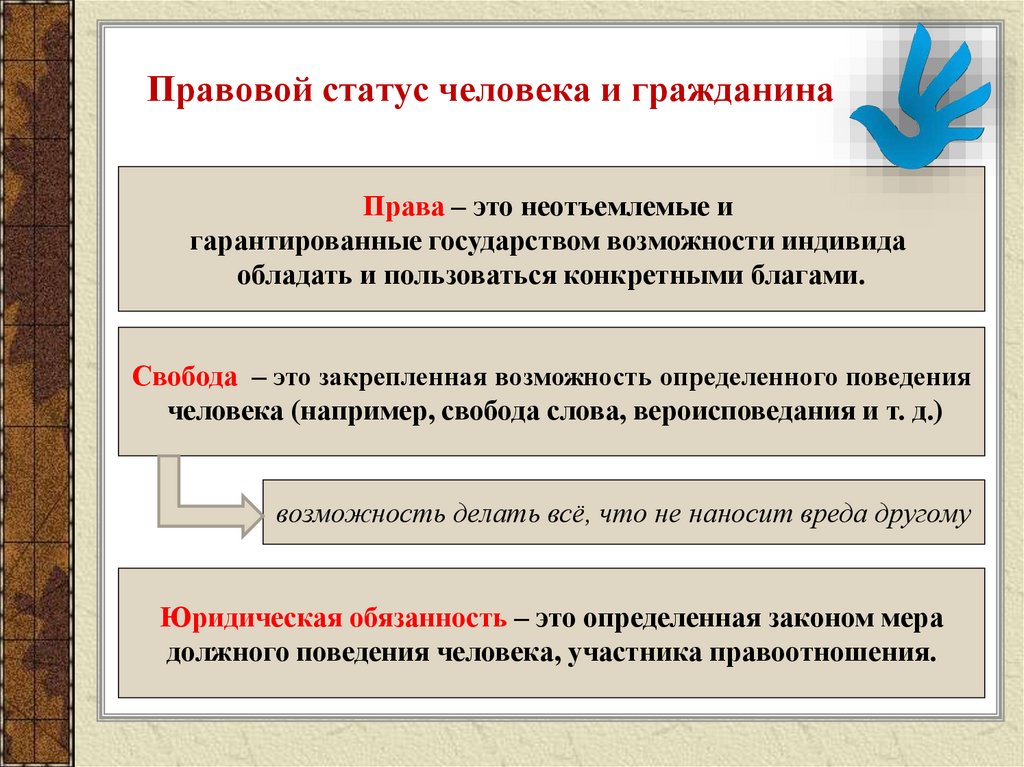 Права человека понятие сущность структура презентация 10 класс право