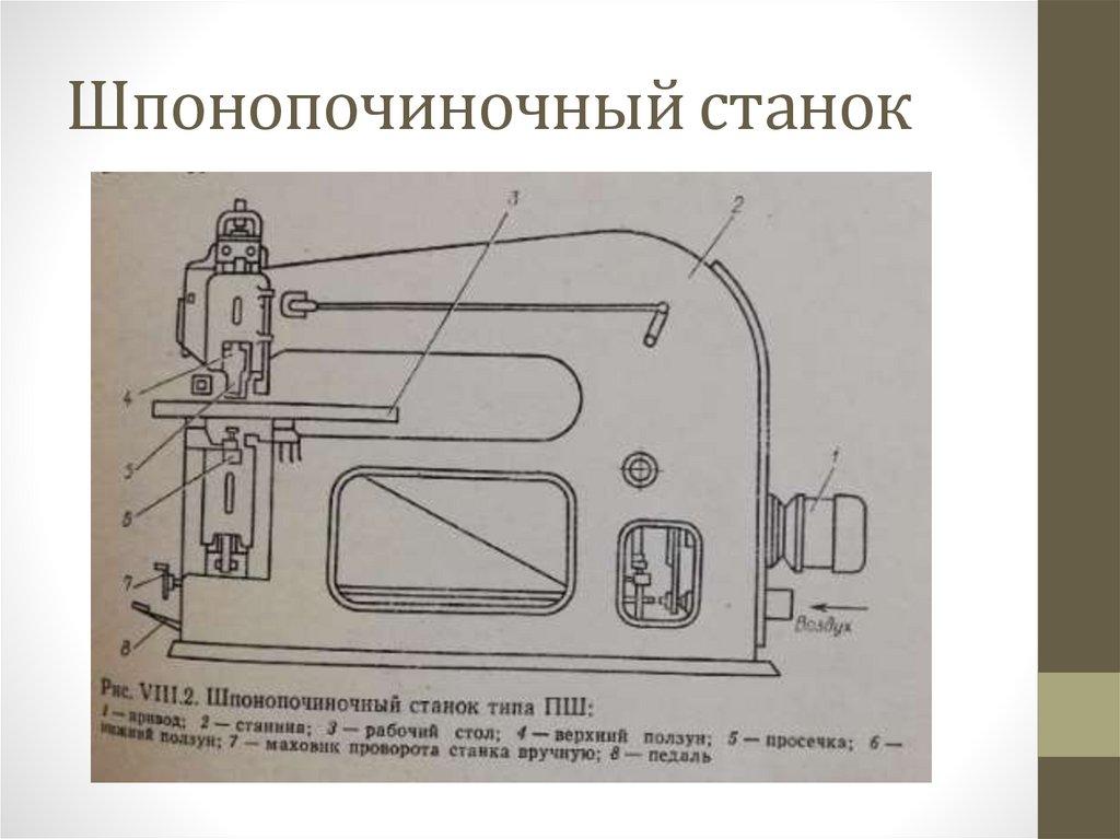 Производство шпона лущеного шпона