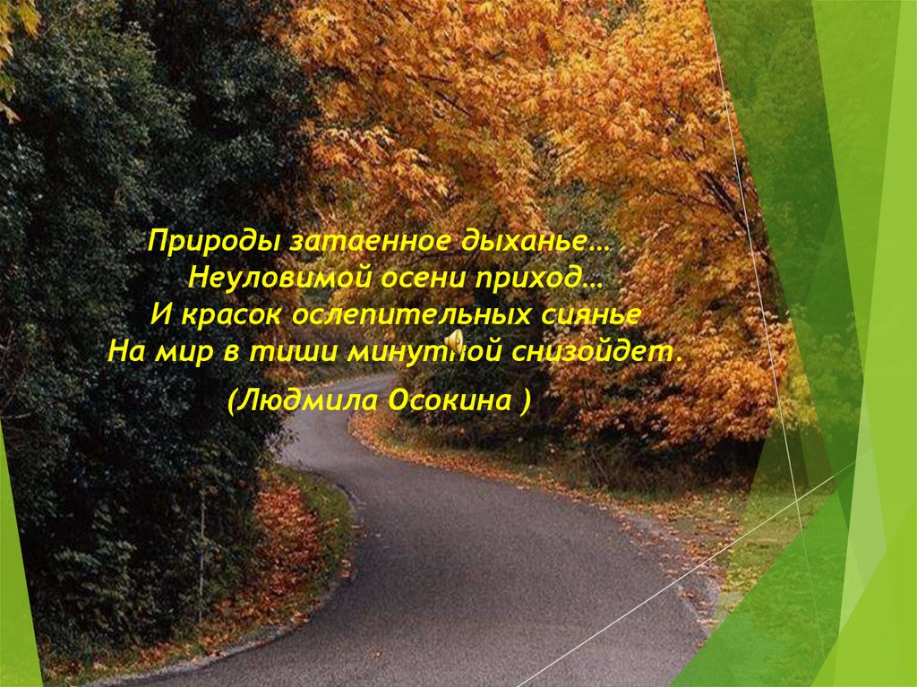 Сочинение береги природу 4 класс. Сочинение в природе нет однообразия.