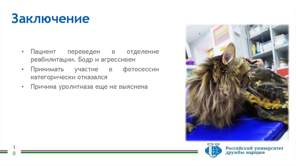 Заключение