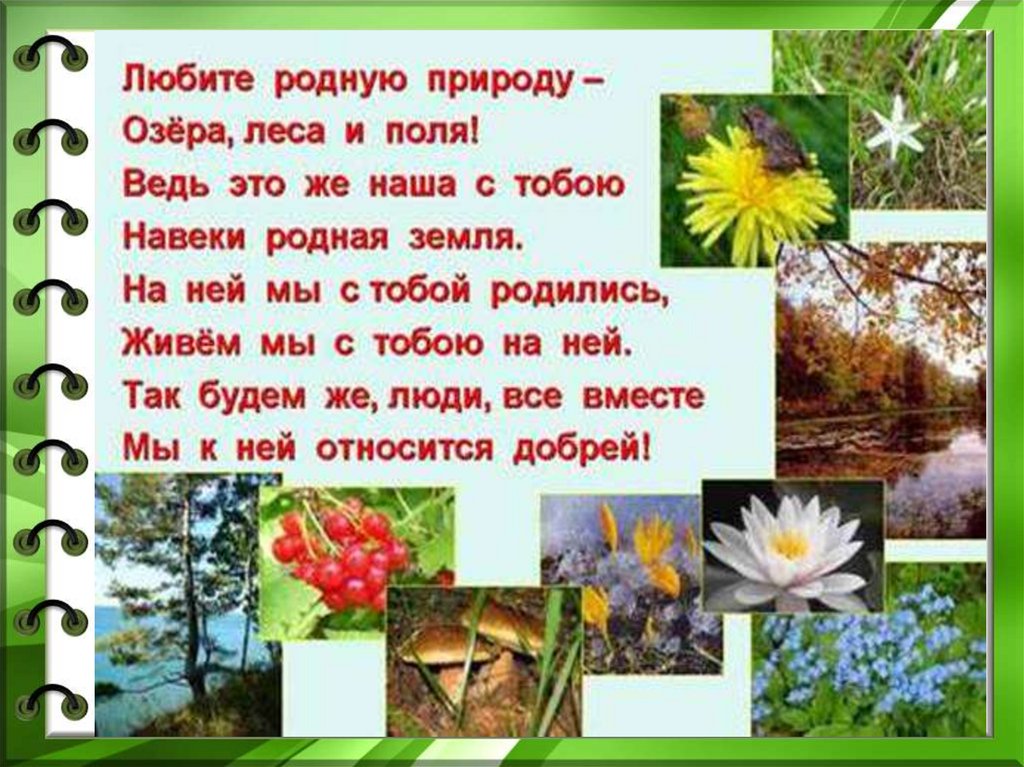 Добрые дела в природе окружающий мир. Рассказ о добрых делах в природе. Рассказы о природе для класса. Подготовить рассказ о добрых делах в природе. Рассказ о своих набоюдениях и до рых делах в природе.