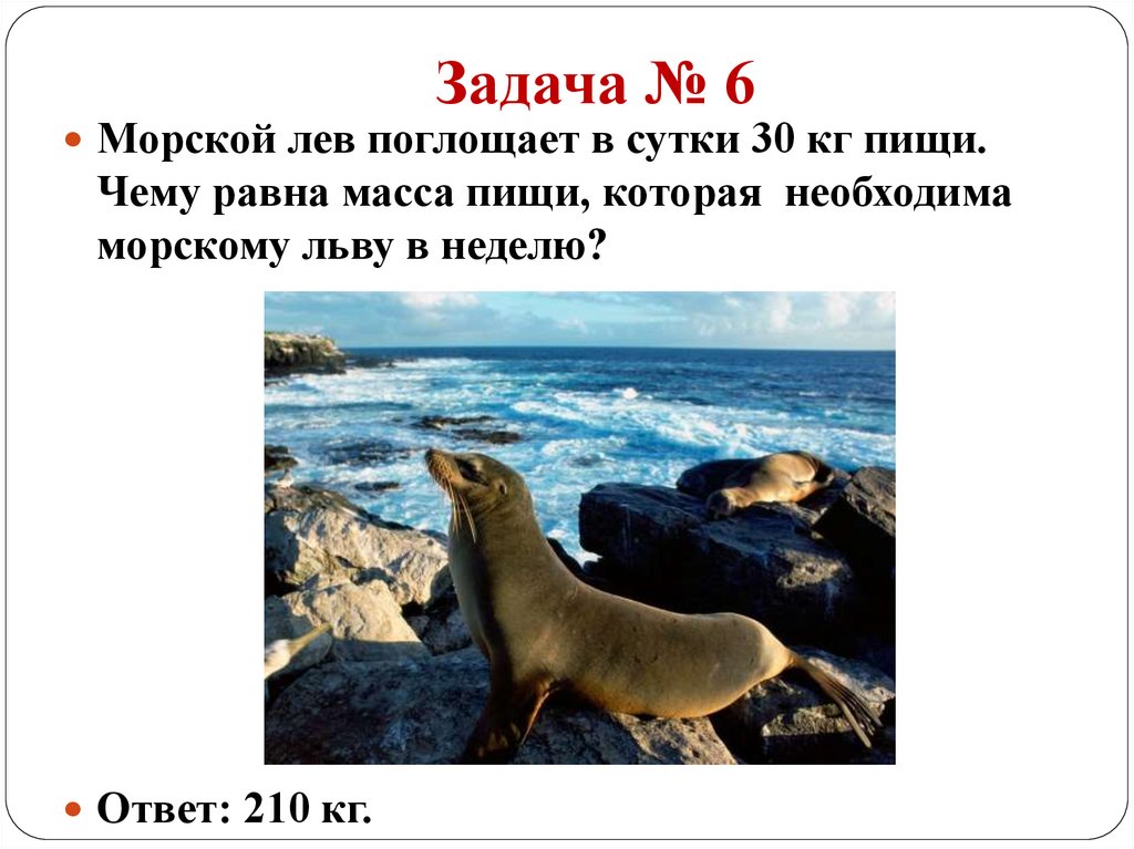 Задача № 6