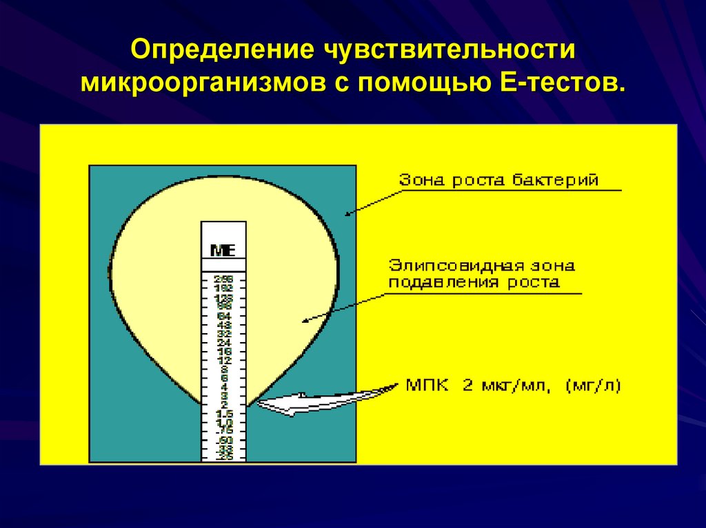 Определение чувствительности. Определение чувствительности микроорганизмов. Методы определения чувствительности. Методы определения чувствительности микробов. Определение чувствительности микрофлоры.