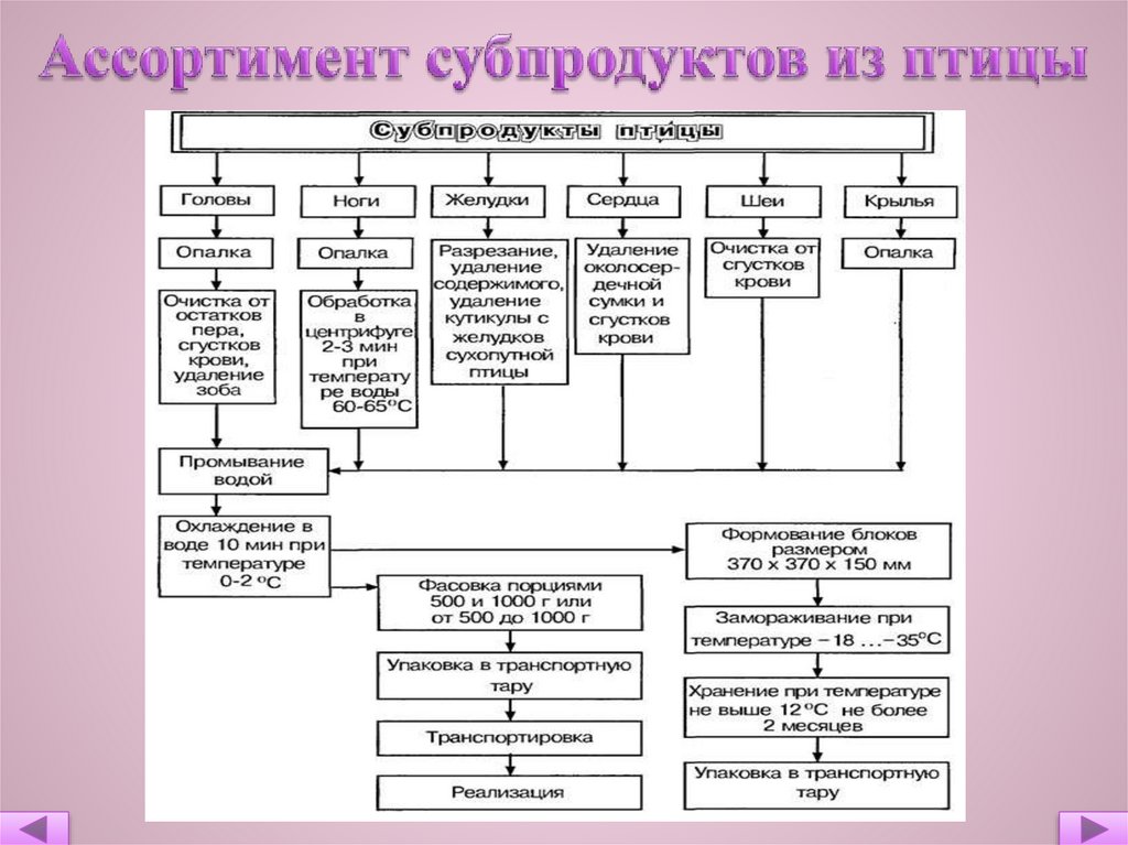 Типы субпродуктов. Схема классификации субпродуктов. Схема обработки субпродуктов. Технологическая схема обработки субпродуктов из птицы. Технологическая схема приготовления полуфабриката из субпродуктов.