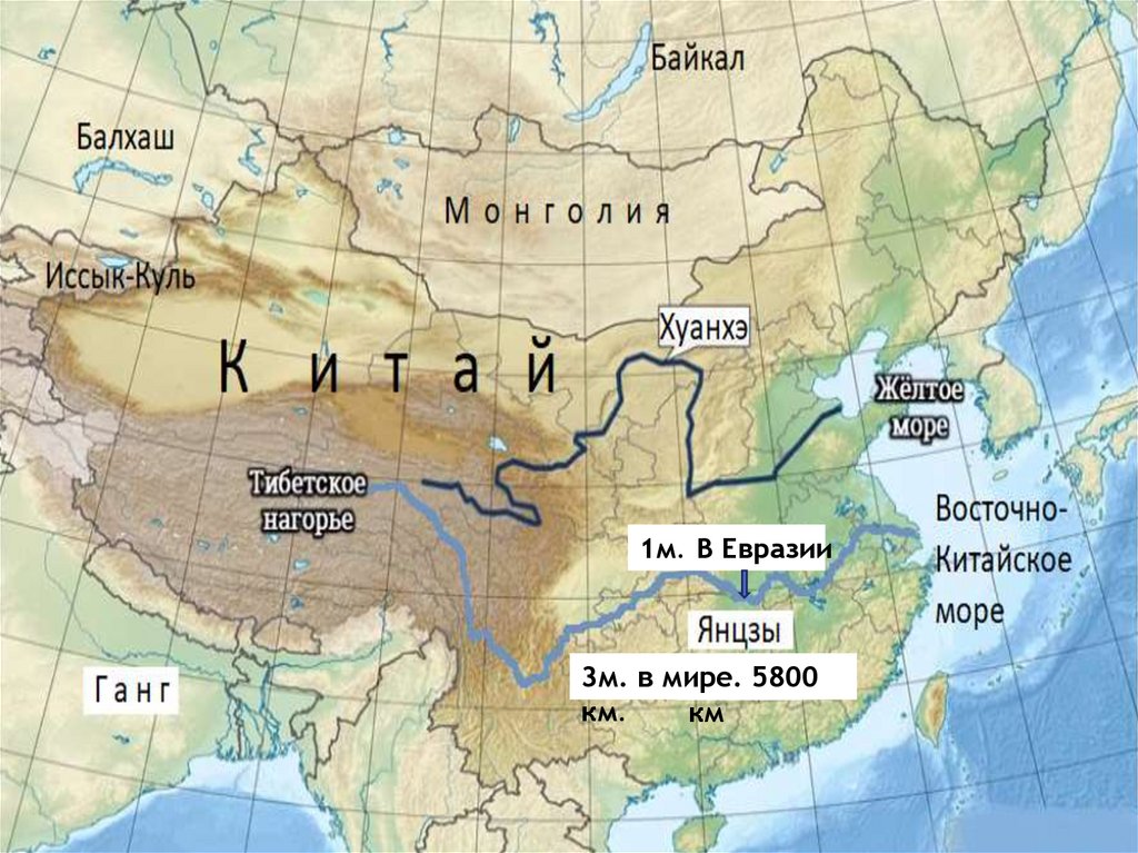 Самая длинная река евразии ответ. Реки Евразии на карте. Карта всех рек Евразии. Внутренние воды Евразии. Самые крупные реки Евразии на карте.
