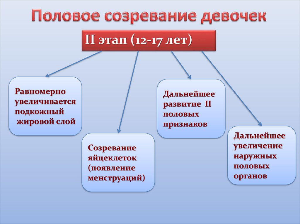 Этапы полового созревания у девочек фото