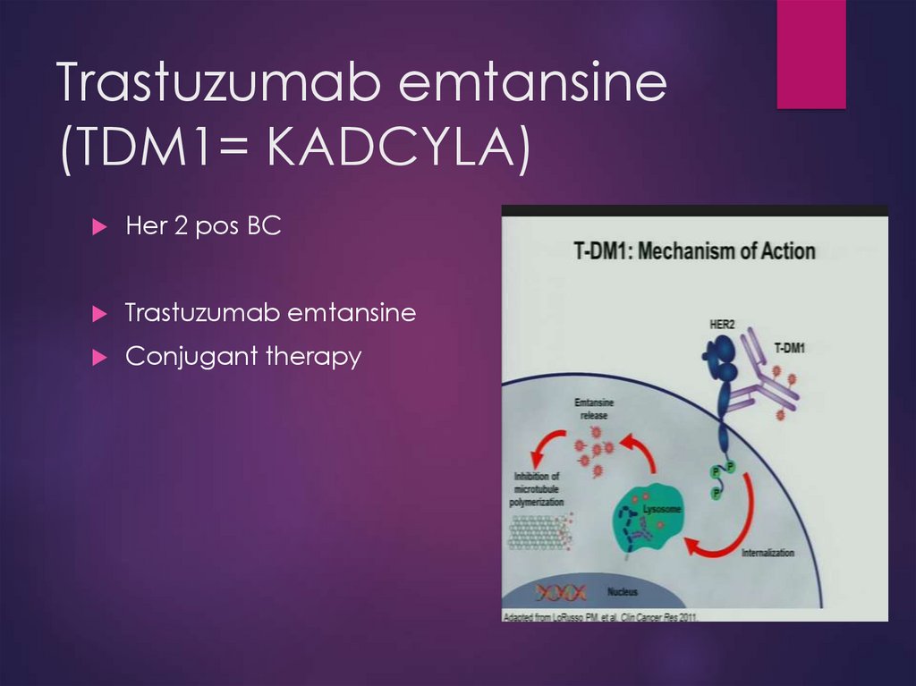 Trastuzumab emtansine (TDM1= KADCYLA)