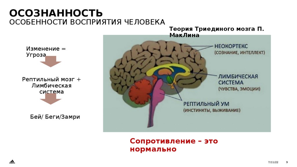 Осознанность