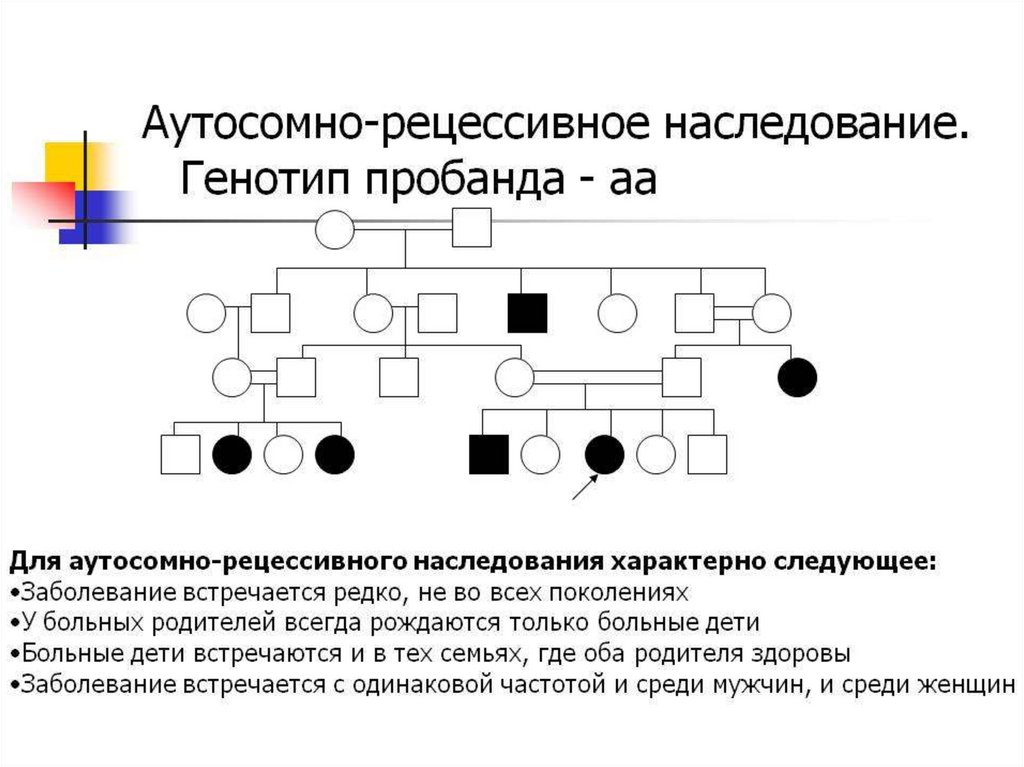 Для аутосомно рецессивного наследования характерно