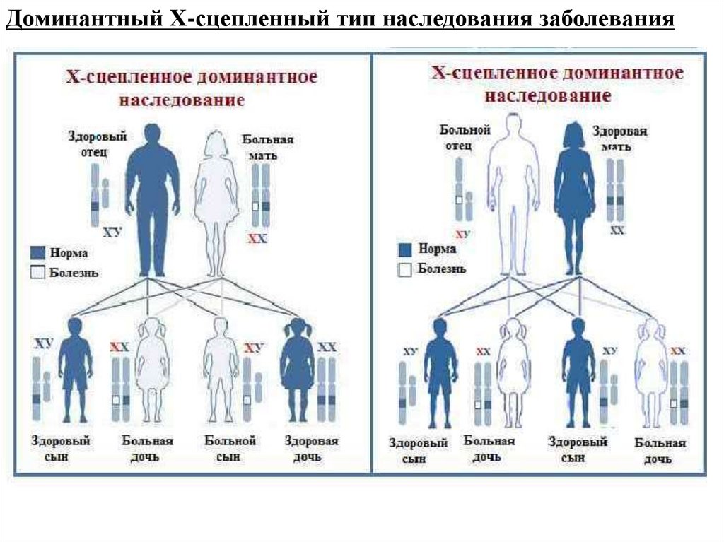 Аутосомно доминантное наследование болезни