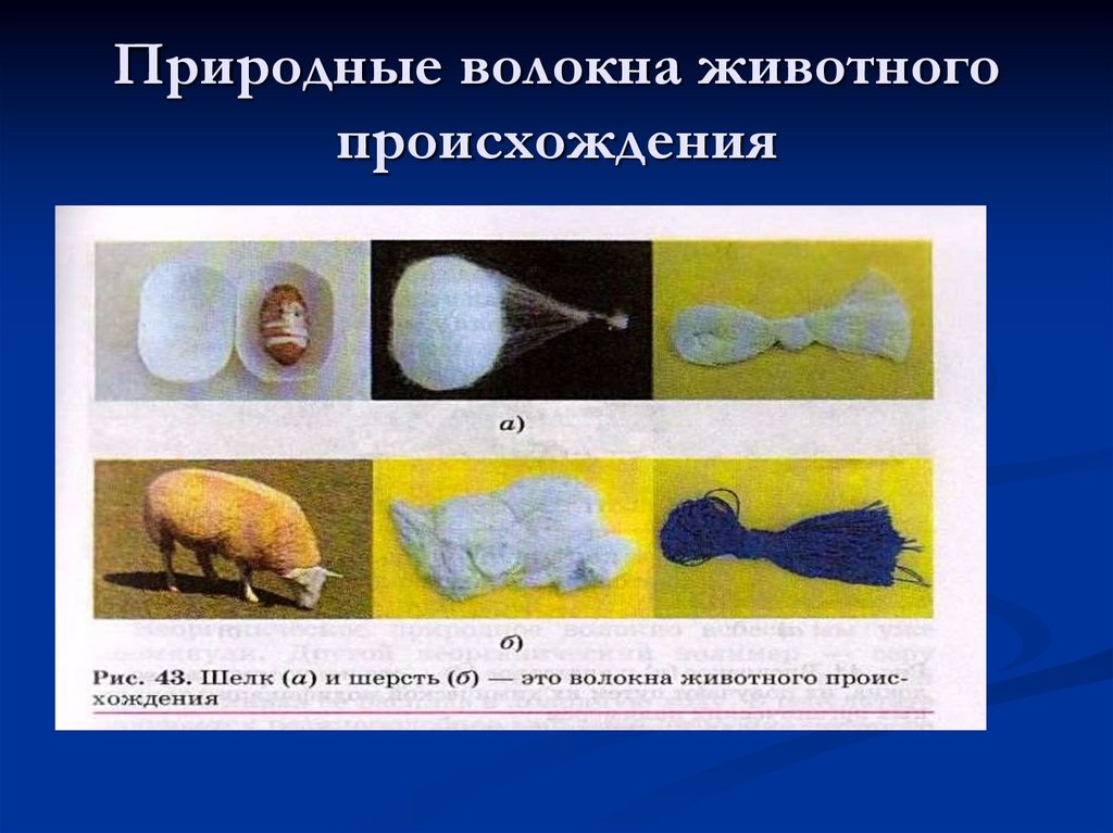 Материалы животного происхождения. Волокна животного происхождения. Природные волокна животного происхождения. Натуральные животные волокна. Шерсть натуральное волокно животного происхождения.