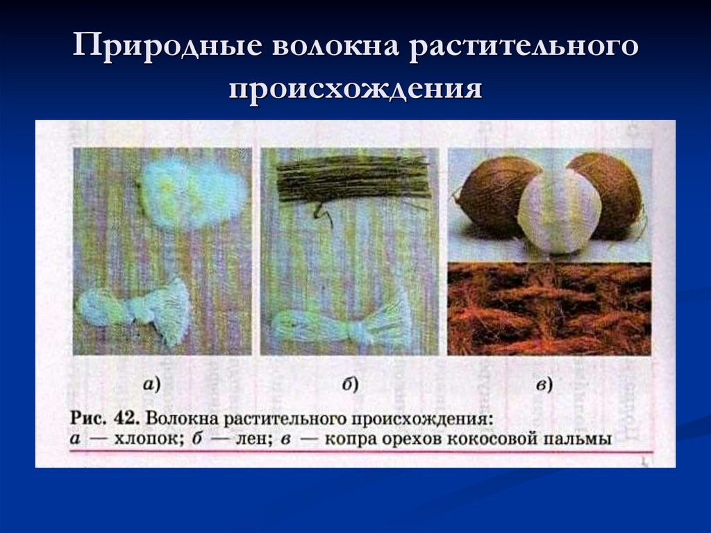 Волокна растительного происхождения. Природные волокна растительного происхождения. Волокна животного происхождения примеры. Волокна растительного происхождения примеры. Хлопок формула волокна.