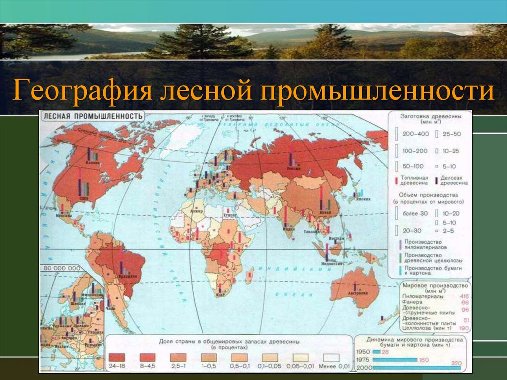 Размеры производства лесной промышленности