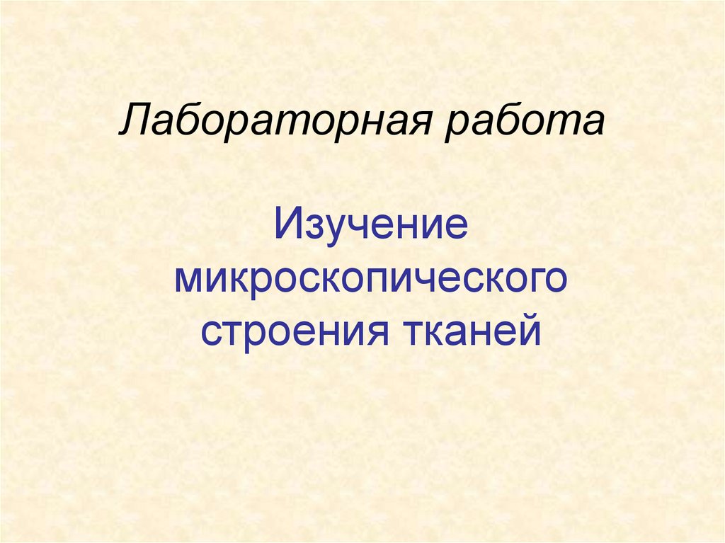 Лабораторная работа презентация