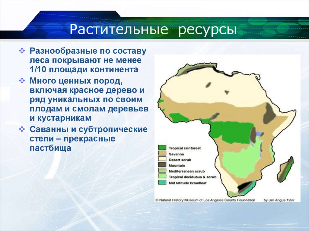 Растительные ресурсы