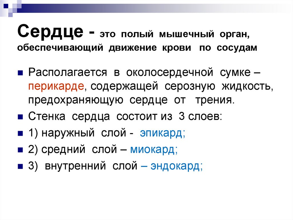 Полый это. Сердце полый мышечный орган. Сердце. Сердце это полый мускульный орган.