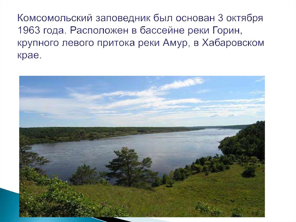 Комсомольский заповедник был основан 3 октября 1963 года. Расположен в бассейне реки Горин, крупного левого притока реки Амур,