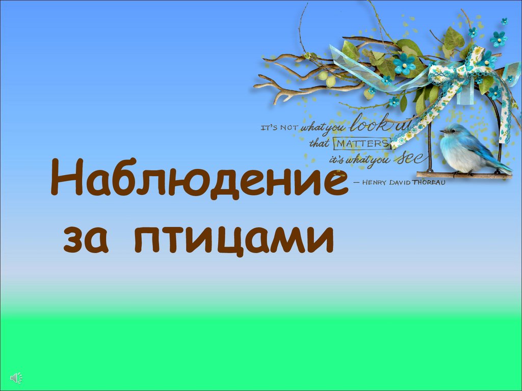 Фенологическое наблюдение за птицами - презентация онлайн