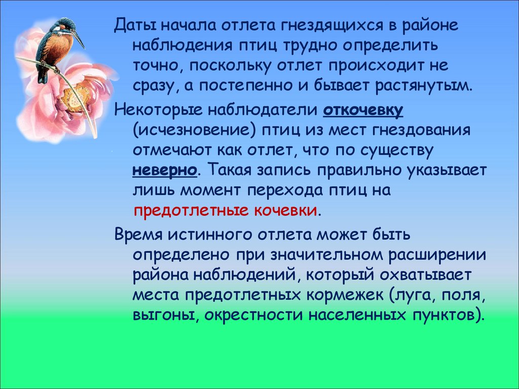 Фенологическое наблюдение за птицами - презентация онлайн