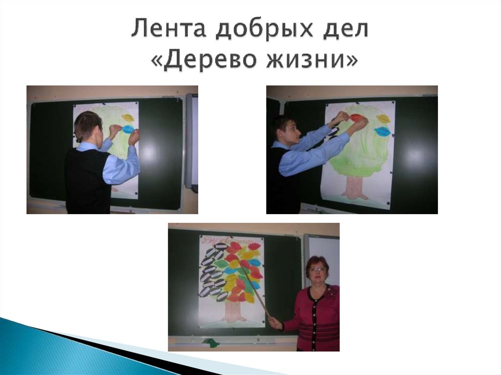 Лента добрых дел «Дерево жизни»