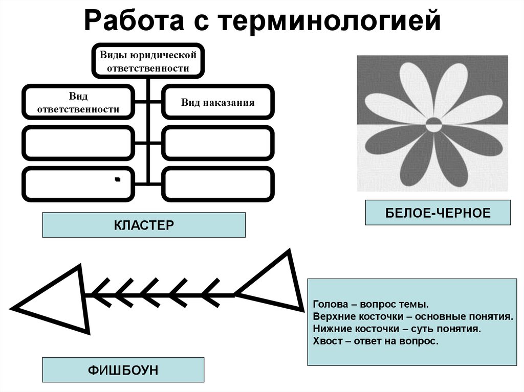 Работа с терминологией