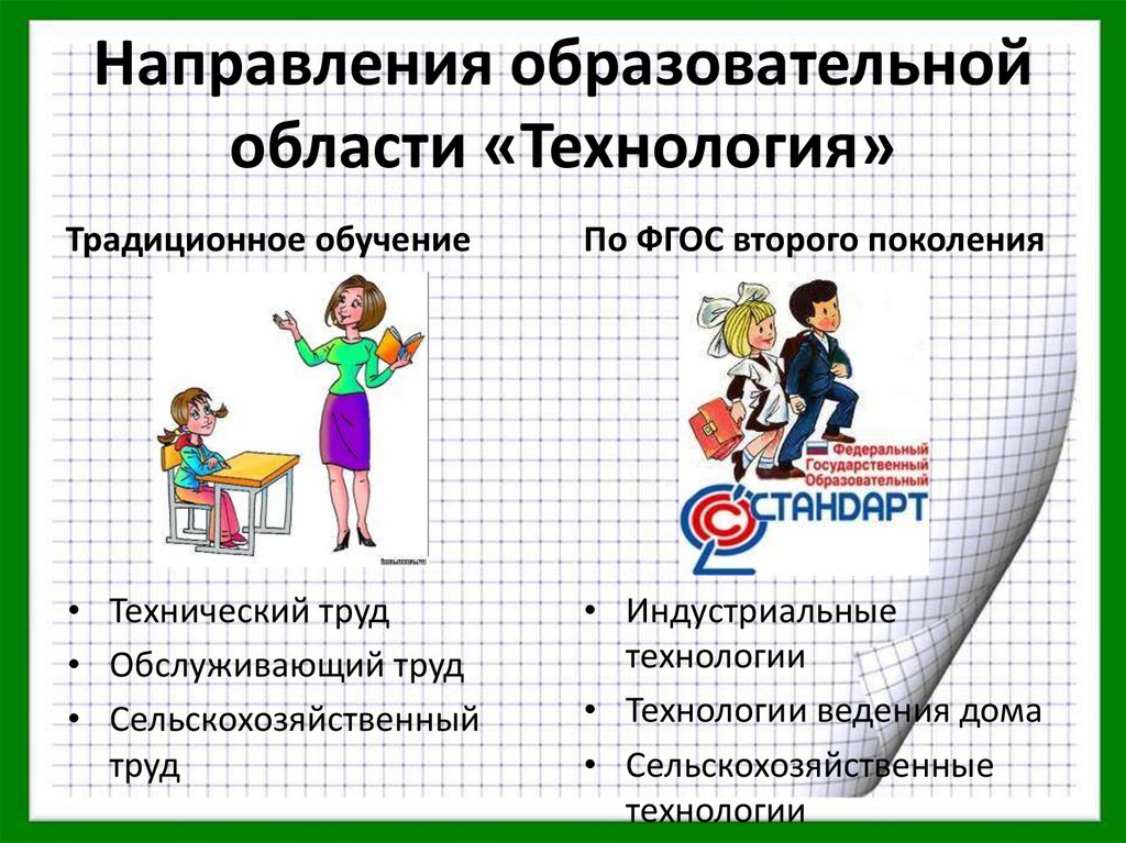 Какие направления образования