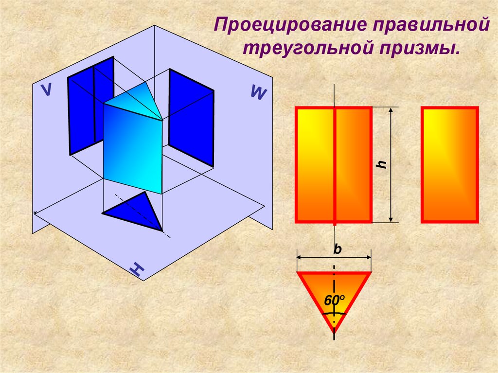 Проецирование правильных треугольных и шестиугольных призм ...