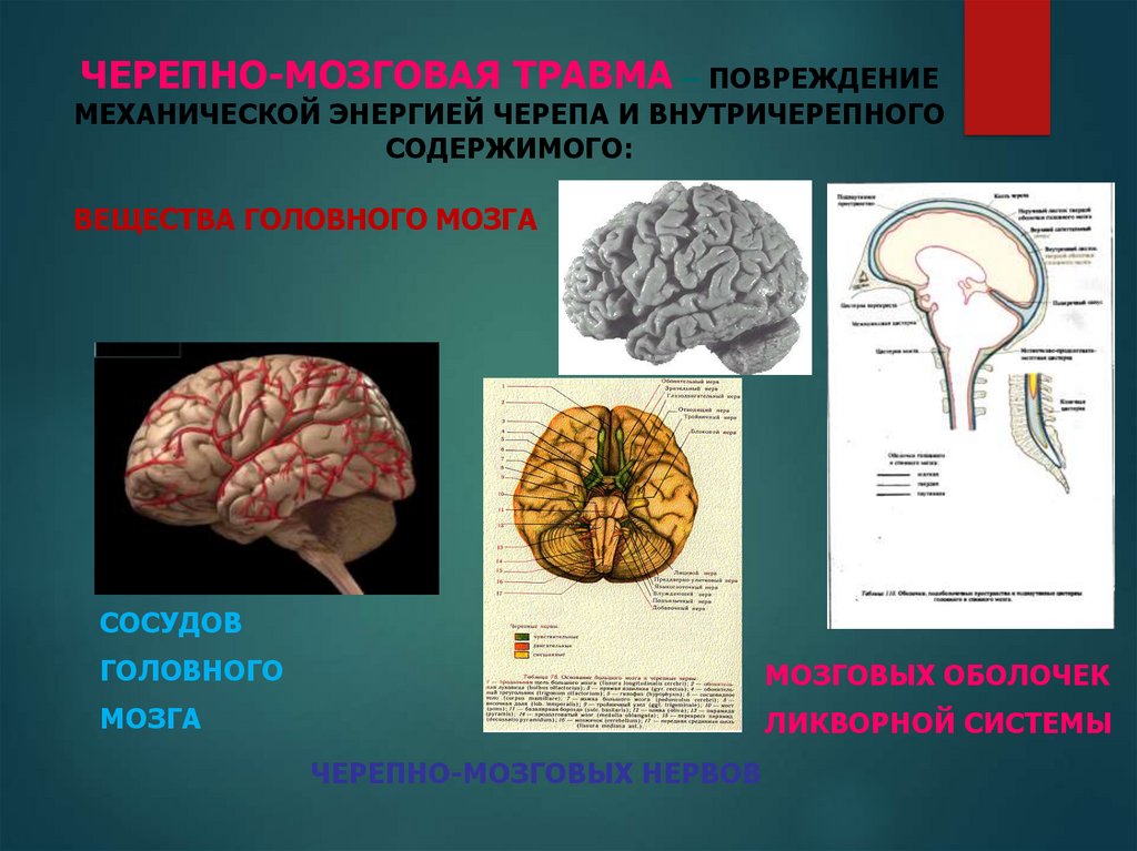 Туберкулез цнс презентация