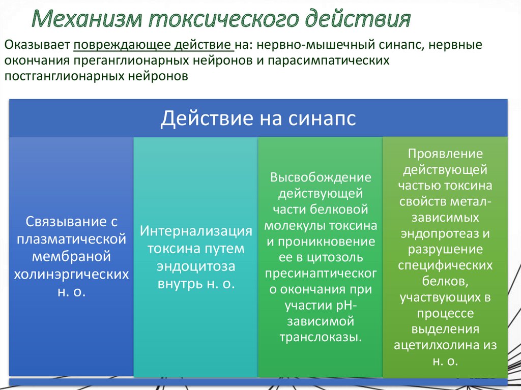 Механизм токсического действия